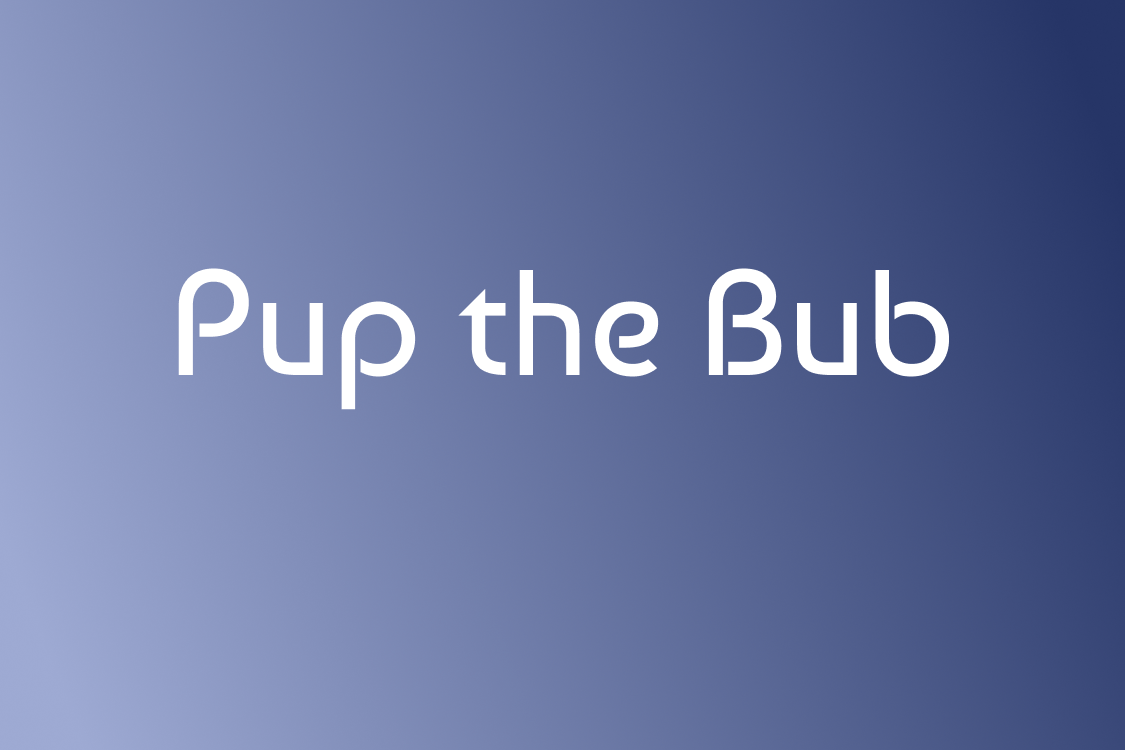 Pup the Bub Interactive Interfaces